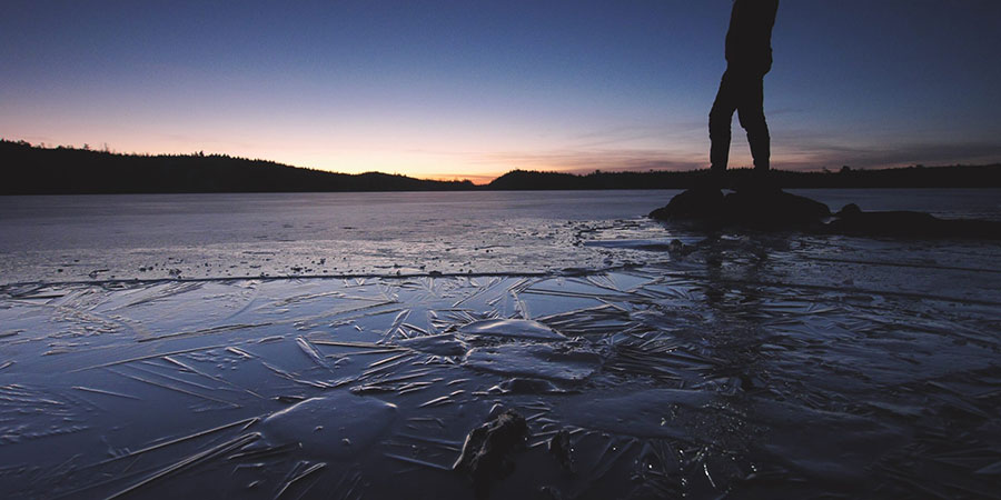 It’s Time to Winterize: Herptiles in Canoe Country